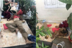 Nạn nhân tử vong khi trú nắng trước hiên nhà dân ven đường. (Ảnh: PV/Vietnam+)