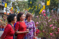 Cứ mỗi dịp Tết đến Xuân về, người Hà Nội lại tìm đến chợ hoa Hàng Lược, một trong những chợ lâu đời nhất Hà Thành. (Ảnh: Minh Sơn/Vietnam+)