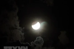 (Ảnh minh họa: Thế Lập/TTXVN)