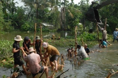 Triều cường lớn làm vỡ 10 đoạn đê bao ở Sóc Trăng