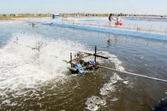 Ảnh minh họa. (Ảnh: Huy Hùng/TTXVN)