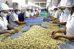 Ảnh minh họa. (Nguồn: TTXVN)