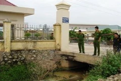 Ảnh minh họa. (Ảnh: Sơn Bách/Vietnam+)