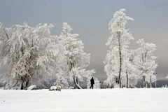 Tuyết phủ trắng xóa trên núi Kahler Asten ở gần Winterberg, Đức. (Ảnh: AFP/TTXVN)