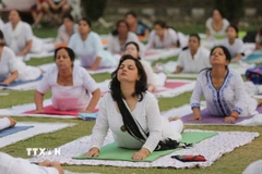 Tập Yoga tốt cho người bệnh tiểu đường. (Nguồn: TTXVN)