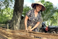 Dăng se dây dừa. (Ảnh: TTXVN phát)