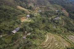 Những ngôi nhà tại khu tái khu suối Tào, xóm Bao, xã Giáp Đắt (Đà Bắc, Hòa Bình). (Ảnh: Trọng Đạt/TTXVN)