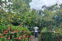 Lực lượng chức năng phong tỏa hiện trường, điều tra nguyên nhân vụ việc. (Nguồn: VTC)