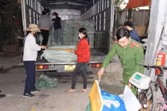 Lực lượng công an kiểm tra số nầm bị thu giữ. (Ảnh: Công an Yên Bái)