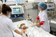 (Ảnh minh họa của Dương Ngọc/TTXVN)