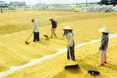 Ảnh minh họa. (Nguồn: Internet)