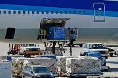 Công nhân đang bốc hàng lên máy bay của hãng All Nippon Airways, tại sân bay quốc tế Los Angeles ngày 30/10, California. (Nguồn: daylife)