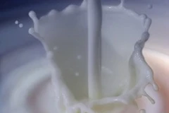 Ảnh minh họa. (Nguồn: Internet)