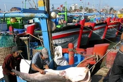 Ngư dân đưa hải sản lên bờ. (Ảnh: Thế Lập/TTXVN)