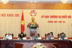 Quang cảnh phiên họp. (Ảnh: An Đăng/TTXVN)