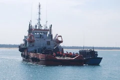 Ảnh minh họa. (nguồn: Internet)