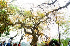 Bắc Bộ và Thủ đô Hà Nội giảm mưa, trời hửng nắng 