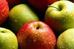 Táo New Zealand. (Nguồn: Internet)