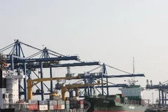 (Ảnh minh họa của Hà Thái/TTXVN)