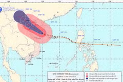 Chùm ảnh đường đi và vị trí cơn bão. (Nguồn: nchmf.gov.vn)