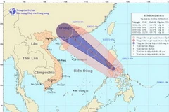 Chùm ảnh đường đi và vị trí cơn bão. (Nguồn: nchmf.gov.vn)