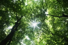 Ảnh chỉ mang tính minh họa. (Nguồn: Internet)