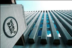 (Nguồn: Getty Images)