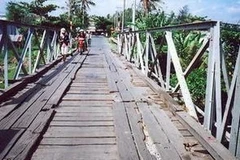 Ảnh minh họa. (Nguồn: nongnghiep.vn)