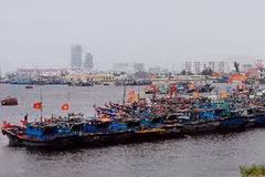 (Ảnh minh họa của Trần Lê Lâm/TTXVN)