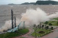 Sóng lớn đánh liên tiếp vào kè Đồ Sơn, thành phố Hải Phòng. (Ảnh: Quang Quyết/TTXVN)