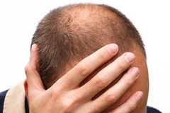 Ảnh minh họa. (Nguồn: telegraph.co.uk)