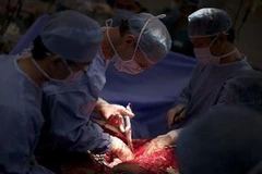 (Ảnh minh họa do TTXVN phát)