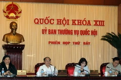 Chủ tịch Quốc hội Nguyễn Sinh Hùng phát biểu ý kiến tại phiên họp, ngày 13/4 vừa qua. (Ảnh: Nguyễn Dân/TTXVN)