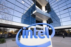 Ảnh minh họa. (Nguồn: Internet)