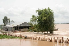 Lũ tại An Giang (Nguồn: Petrotimes) 