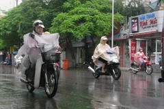Ảnh minh họa. (Nguồn: Internet)