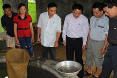 Cơ sở thụ tinh nhân tạo, ấp nở cá nheo giống của doanh nghiệp Phương Loan. 