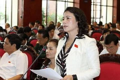 Đại biểu Quốc hội tỉnh Vĩnh Phúc Lê Thị Nguyệt phát biểu ý kiến. (Ảnh: Nguyễn Dân/TTXVN)