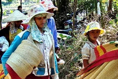 Mỗi hộ dân xã Ba Điền được cấp 2 chiếc chiếu đã qua tẩm thuốc chống dịch. (Ảnh: Thanh Long/TTXVN)