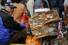 Một chợ bán gia cầm tại Bắc Kinh ngày 13/4.(Ảnh: AFP/TTXVN)