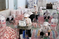 Đóng gói sản phẩm muối tại Công ty cổ phần muối và thương mại Bạc Liêu, tỉnh Bạc Liêu. (Ảnh: Huỳnh Sử/TTXVN) 