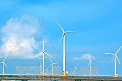10 tuabin gió của Nhà máy Điện gió Bạc Liêu. (Ảnh: Cao Thăng/TTXVN)