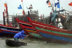 Neo đậu tàu thuyền vào nơi an toàn tại Hà Tĩnh, sáng nay 24/8. (Nguồn: Internet)