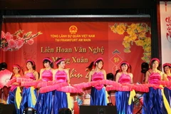 Tiết mục văn nghệ cộng đồng tại Đêm liên hoan. (Ảnh: Thanh Hải/Vietnam+)