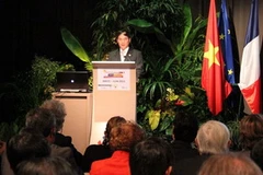 Thứ trưởng Ngoại giao Việt Nam Bùi Thanh Sơn phát biểu tại Hội nghị. (Ảnh: Lê Hà-Trung Dũng/Vietnam+)