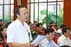 Đại biểu Quốc hội tỉnh Hải Dương Lê Đình Khanh phát biểu ý kiến. (Ảnh: Doãn Tấn/TTXVN)