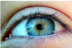 Ảnh minh họa. (Nguồn: Internet)