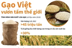 [Infographics] Sắp công bố Logo thương hiệu quốc gia gạo Việt Nam