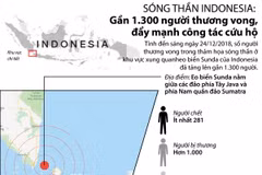 Sóng thần ở Indonesia: Gần 1.300 người thương vong, đẩy mạnh cứu hộ