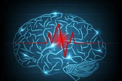 Ảnh minh họa. (Nguồn: sciencedaily)